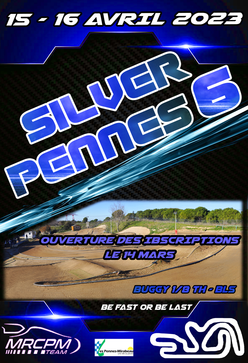 silver pennes 6